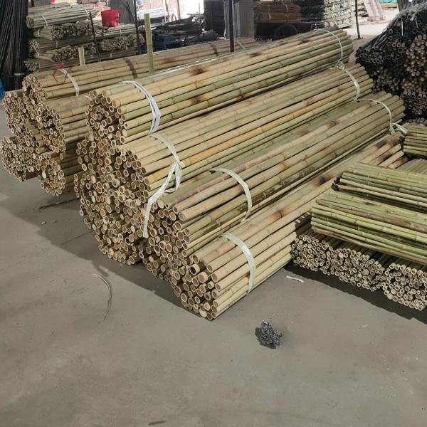 Quality Garden Fence Home Decoration Raw Bamboo Poles Tonkin Solid Bamboo Poles for sale