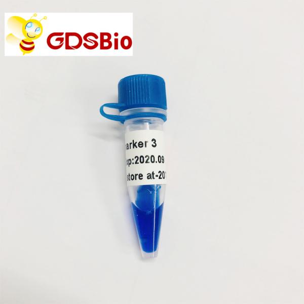 Quality GDSBio LD Marker 3 DNA Marker Electrophoresis 60 Preps for sale