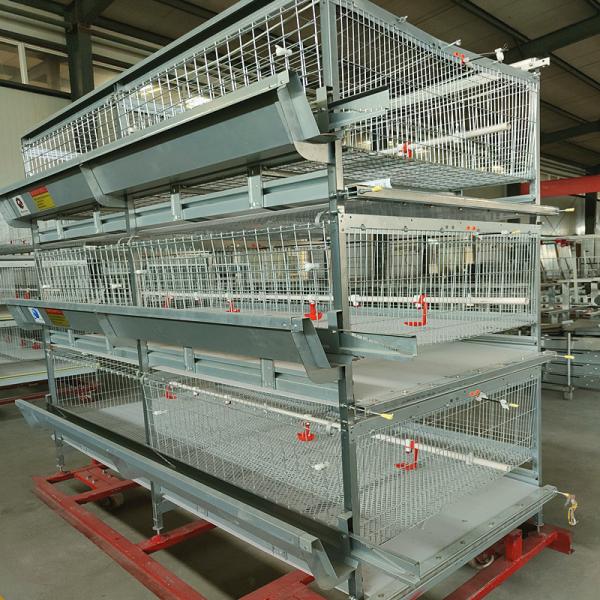 Quality Auto Farm Battery System In Poultry , HDG 150/200 Chicken Broiler Equipment for sale