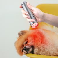 Quality 630nm 660nm 830nm Infra Red Flashlight Red Light Therapy Torch For Healing Wound for sale