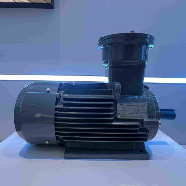 Quality Steel AC Induction Medium Voltage Triple Phase Motor for sale