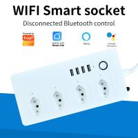 China 50Hz 60Hz Homekit Smart Socket 2.6 Ounces USB Remote Control Electric Sockets factory