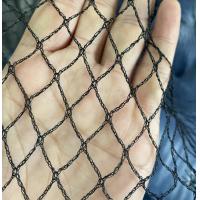 China China plastic mesh anti bird aviary vineyards netting for garden protection Anti Bird Netting For Greenhouse factory