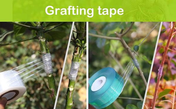 Grafting tape