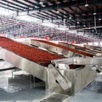 China Industry SUS304 Automatic Chili Drying Systems for Food Processing factory