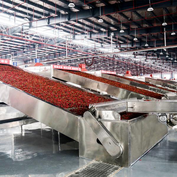 Quality ODM SGS Fruit Vegetable Processing Line Multilayer Drying And Cleaning for sale