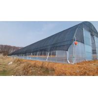 China Rainfall 150mm/H Tunnel Greenhouse With Mechanical Ventilation Optional Cooling System for sale