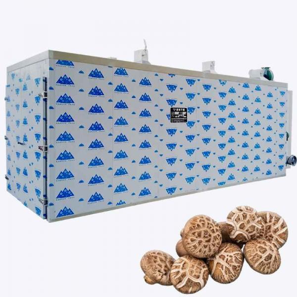 Quality 600KG ISO SGS Heat Pump Food Dryer 60 Trays Mushroom Dehydrator Machine for sale
