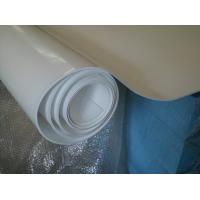 China 70shore A Colored Plastic Sheet Expand PTFE Sheet For Pharmaceutical , Chemical for sale