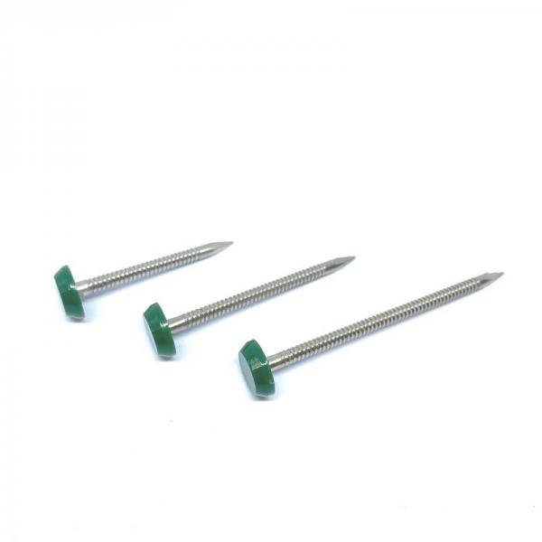 Quality OEM 65mm Plastic Head Nails , Outside Construction And Building Nails for sale