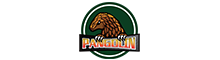 China Langfang Pangolin Drilling Tools Co., Ltd. logo