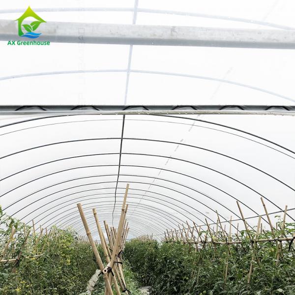Quality Transparent 200 Mirco Greenhouse Cover Materials Multispan Greenhouse Plastic for sale