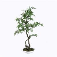 China Bright Spot Artificial Maple Bonsai Tree , Artificial Plants Bonsai Fill Any Space factory