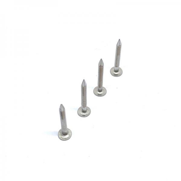 Quality Custom Flat Head Stainless Steel Ring Shank Siding Nails For Wood for sale