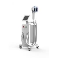 china High Working Efficient Fat Freezing Lipolysis Weight Loss System With 2 Cryo Handles