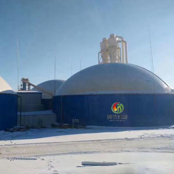 Quality UASB Tank Biogas Plant Project Upflow Anaerobic Sludge Blanket Reactor for sale