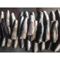 China Natural Glaze HGT Fresh Frozen Sardines For Canning factory
