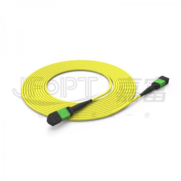 Quality OFNP Flame Retardant MPO Trunk Cable 2.0mm-5.0mm PVC Fiber Optic Trunk for sale