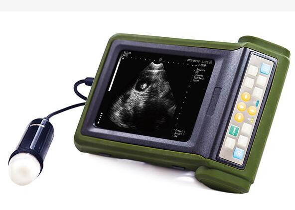 China Portable Veterinary Ultrasound Scanner With 3.5MHz Waterproof Mechanical Sector factory
