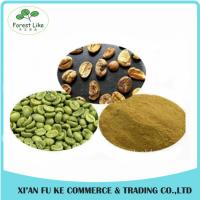 China Natural Pure Green Coffee Bean Extract Chlorogenic Acid 50% factory
