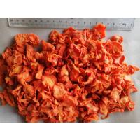 China Moisture 8% Dehydrated Carrot Chips Cool Place Storage 10*10*3mm HALAL factory