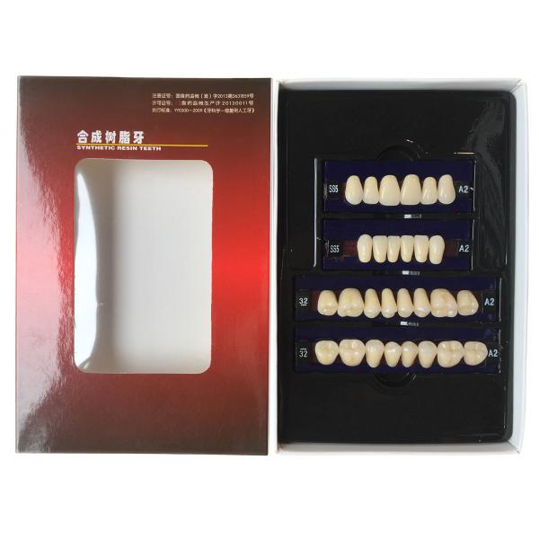 Quality Dental Synthetic Resin Teeth Materials Multi Layers Composite False Teeth HSS3 for sale