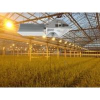 china Easy Mounting HID Grow Lights High Efficiency With Very Low Energy Consumption