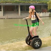 China Auto electrical chariot with lithium battery quite brushless motors scooters segway factory