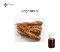 China Asthma Treatment 70% Ligustilide Angelica Essential Oil factory