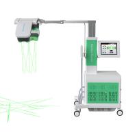Quality Weight Loss Green Co2 Laser Beauty Machine 532nm 10D Maxlipo Painless for sale