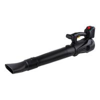 China Handheld Electric Leaf Blower 6 Speed Wind Power Snow Blower factory