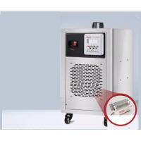 China 40g Ozone Purifier Machine O2 Generator 60g/h For Garage Air Cooling factory
