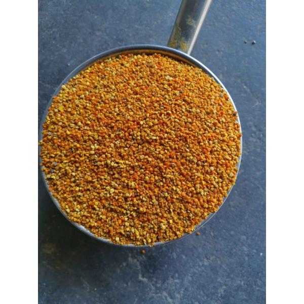 Quality Mixed Fresh Raw Bee Pollen Full Of Nutricion Big Granual for sale