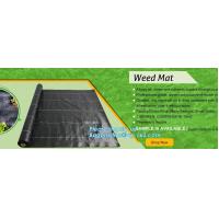 China pp weed mat organic agricultural plastic mulch, recyclable weed barrier,PP ground mat /concert crowd control barrier wee factory