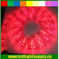 China outdoor christmas rope light 12/24v 1/2'' 2 wire led rope lights factory