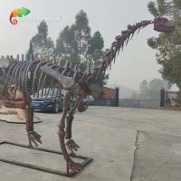 China CE Jurassic Park Dinosaur Skeleton Replica Shunosaurus Skeleton weather reistance factory