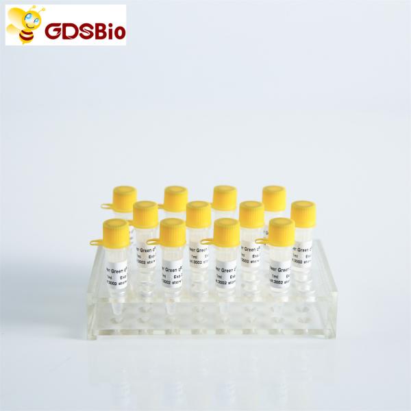 Quality GDSBio HS Probe QPCR Real Time PCR Mix P2201 P2202 for sale
