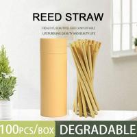 china Wholesale ECO Customized Logo Natural Disposable Drinking Reed Straw 20cm