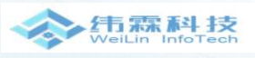 China Shanghai Weilin Information Technology Co., Ltd. logo