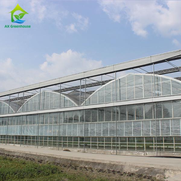 Quality Heavy Duty Glass Hydroponic Nursery Greenhouse For Vegetables for sale