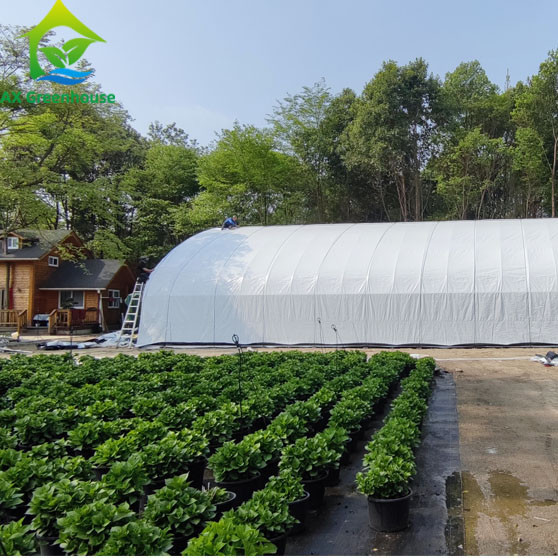 Quality 1m-12m Width Greenhouse Plastic Film for sale