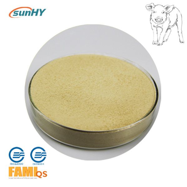 SunLipase Plus 10000u/G Pig Enzymes Compound Lipase Enzyme from China