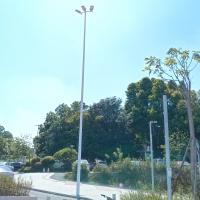 Quality 16m High Mast Galvanised Street Light Pole Self Supporting 3 Lamps for sale