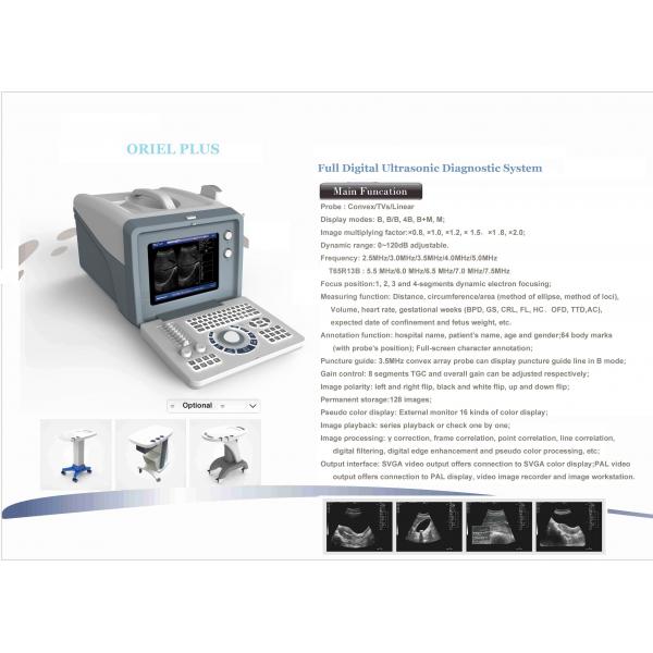 Quality Animal Cattle Veterinary Ultrasound Machines 6.5MHz R13 Cavity Probe for sale