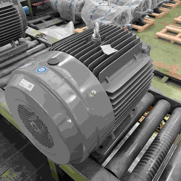 Quality 415V AC Induction High Efficiency Electric Motor For Sugar Compressor for sale