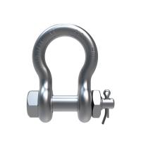 Quality SLR362-BOLT TYPE DEE BOW SHACKLE for sale
