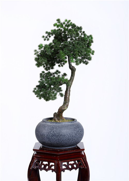 China Non Toxic 60cm Plastic Bonsai Tree , Authentic Bonsai Tree Easy Care Elegant Charming factory