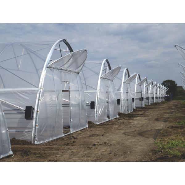 Quality Steel Single Span Greenhouse With PE Film High Disaster Resistance for sale
