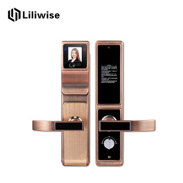 Quality Durable Face Recognition Door Lock High Security Touch Screen Low Energy for sale