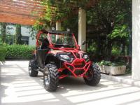 China 250cc 2X4 Gas Utility Vehicles Led Light Double A - Arm Suspension factory